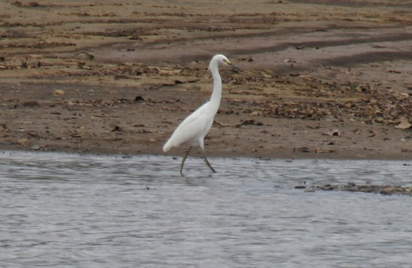 2010 Panama Canal Cruise, part 10